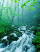 肖云儒:醴泉訪賢記